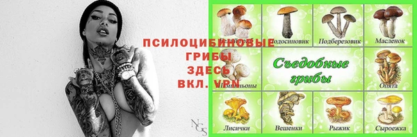 не бодяженный Аркадак