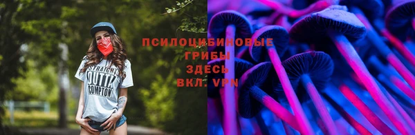 не бодяженный Аркадак