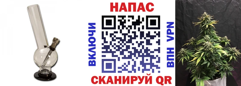 цены   Черноголовка  Канабис Amnesia 